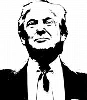 Het beleid van Trump zorgt sporadisch voor onrust in de wereld / Bron: Gregroose, Pixabay